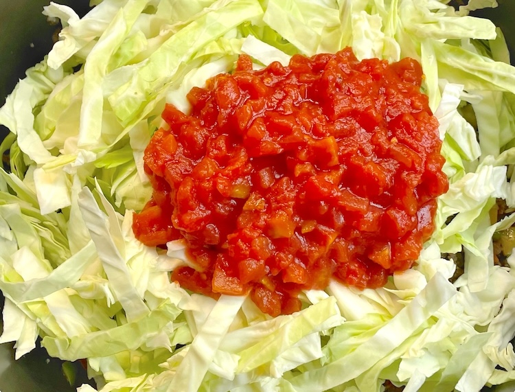 Raw chopped cabbage in a skillet with a can of diced tomatoes, ready for cooking. 